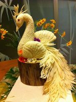 Susy - Intagli - Animali