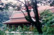 Chiang Mai 1995